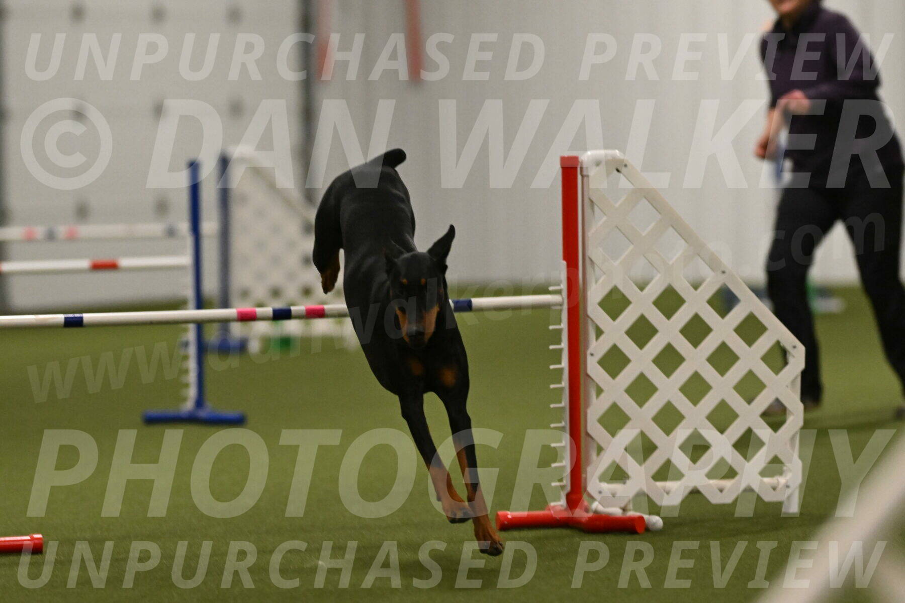 Sage-Nanette-Jarrett-04527