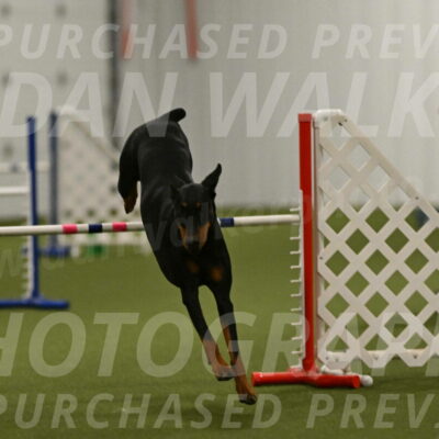 Sage-Nanette-Jarrett-04527