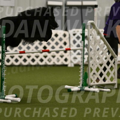 Score-Viola-Dyer-07418