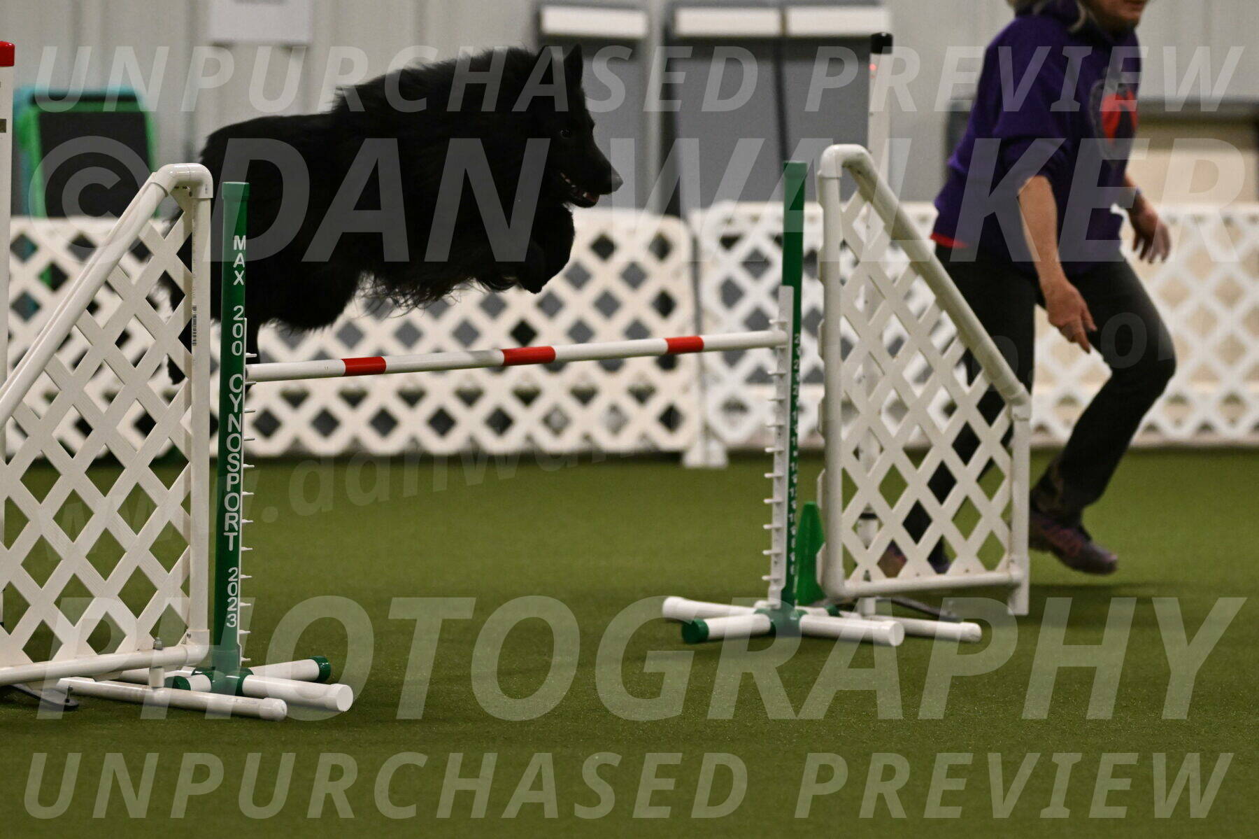 Score-Viola-Dyer-07418