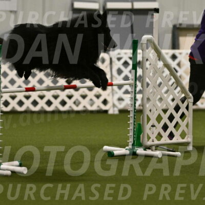 Score-Viola-Dyer-07419