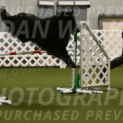 Score-Viola-Dyer-07420