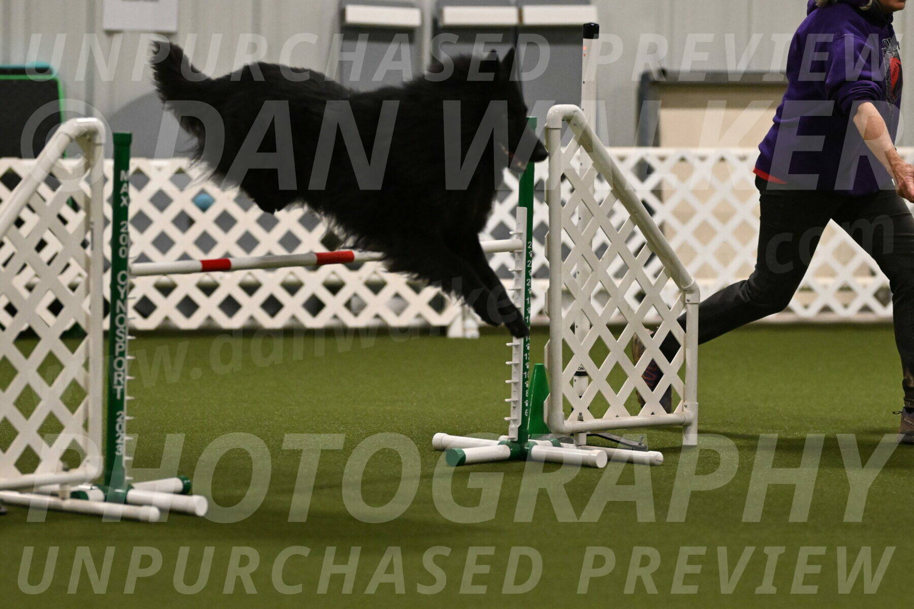 Score-Viola-Dyer-07420