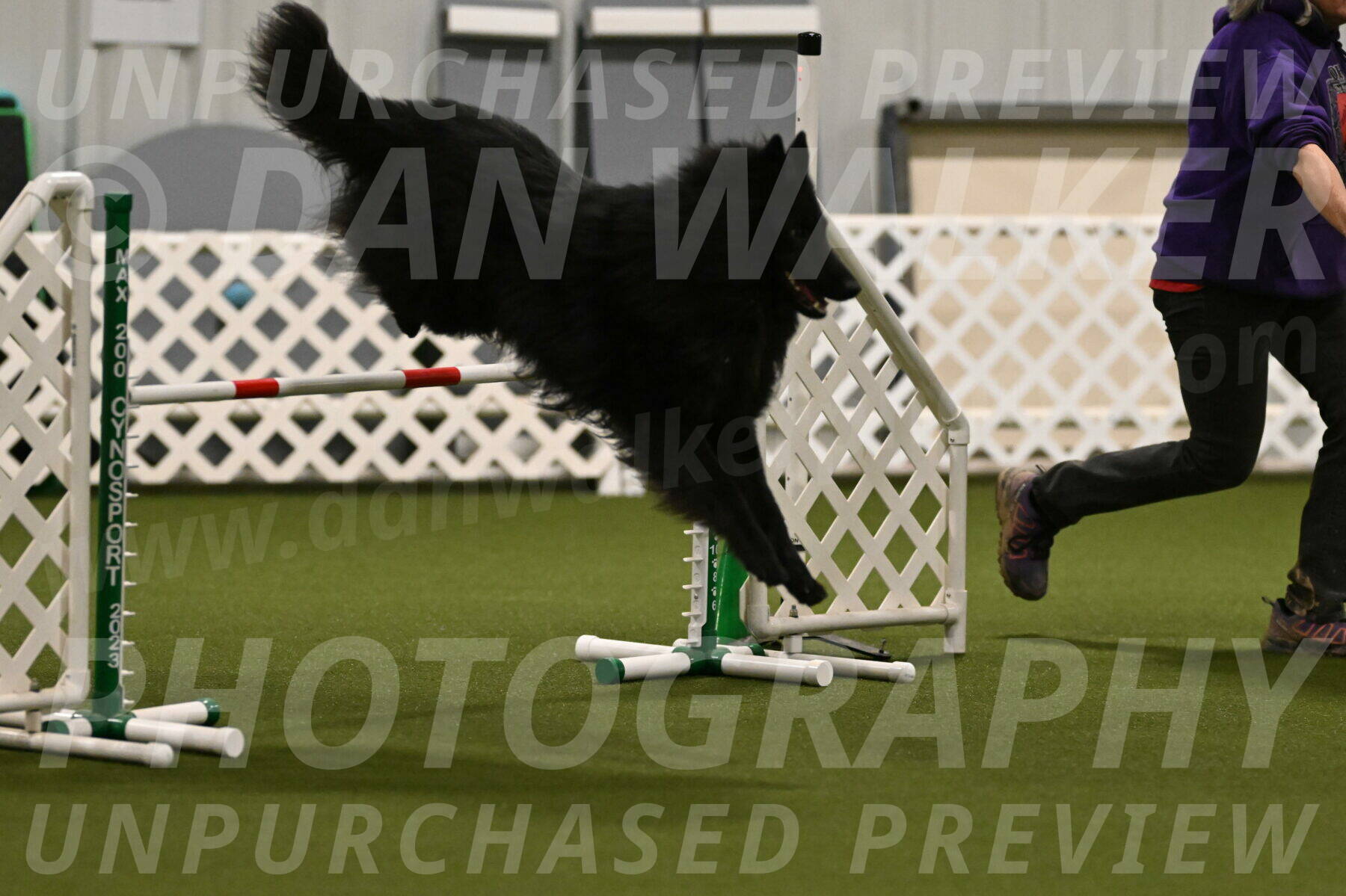 Score-Viola-Dyer-07421