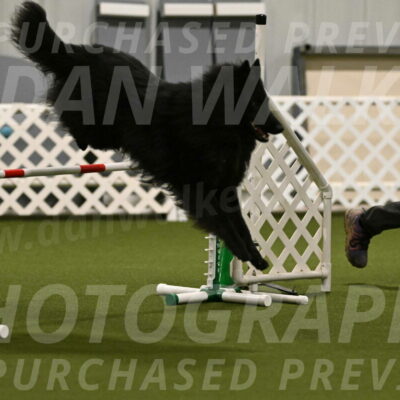 Score-Viola-Dyer-07421