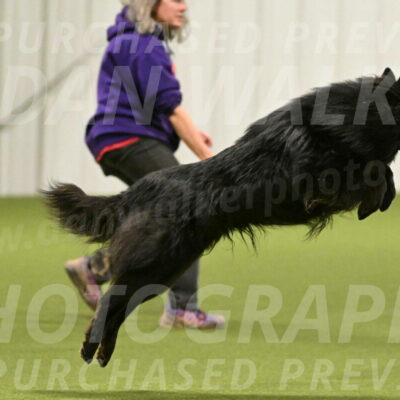 Score-Viola-Dyer-07422