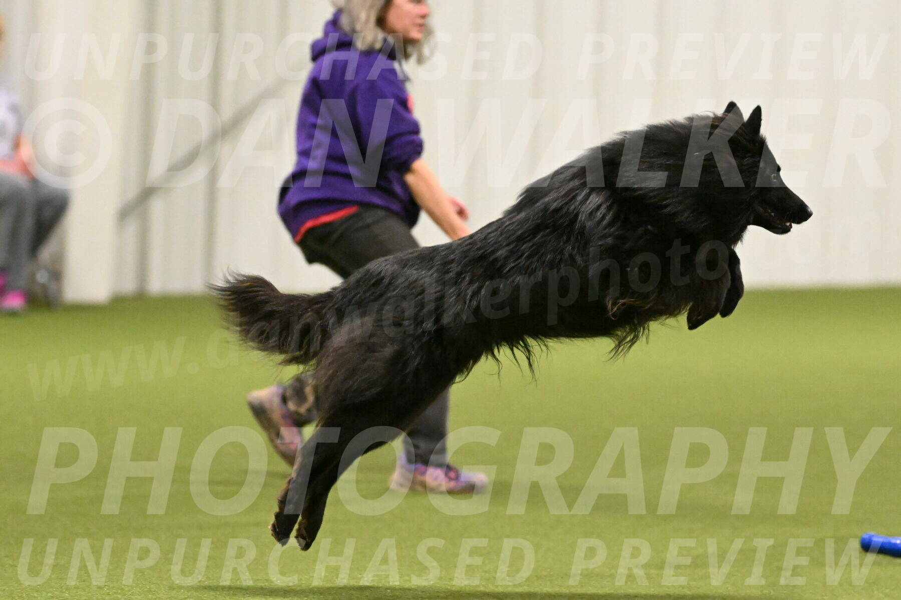 Score-Viola-Dyer-07422