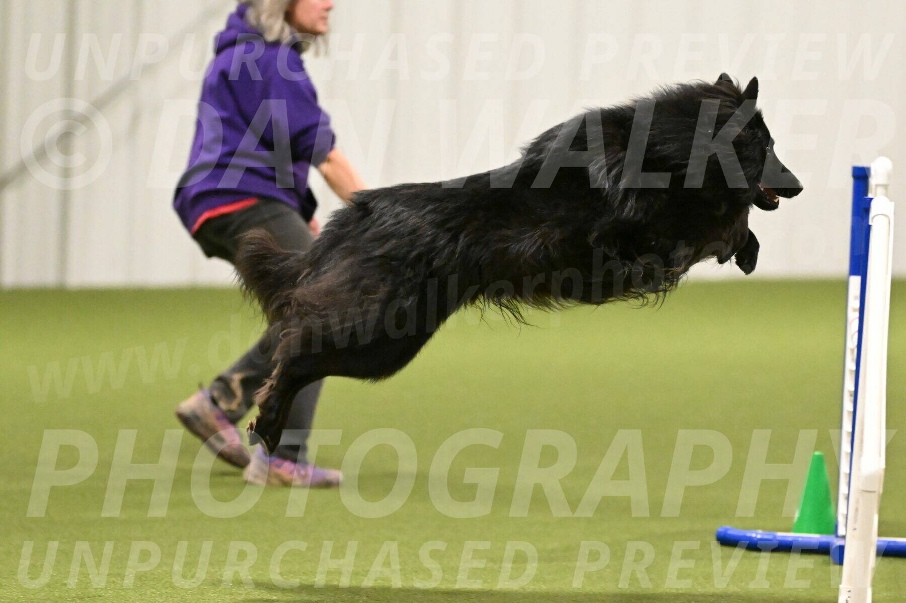 Score-Viola-Dyer-07423