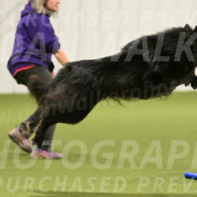 Score-Viola-Dyer-07423