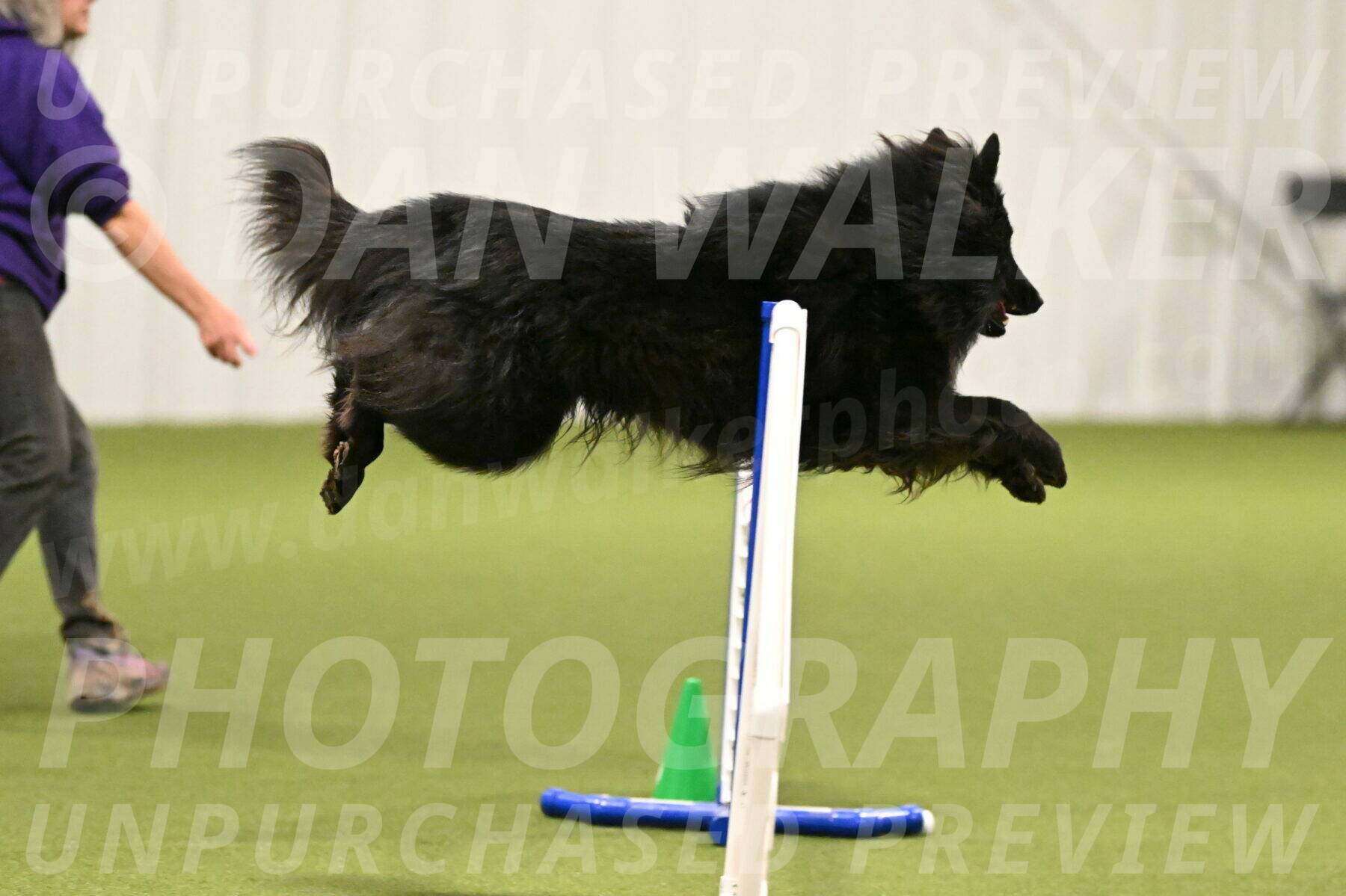 Score-Viola-Dyer-07424