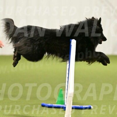 Score-Viola-Dyer-07424