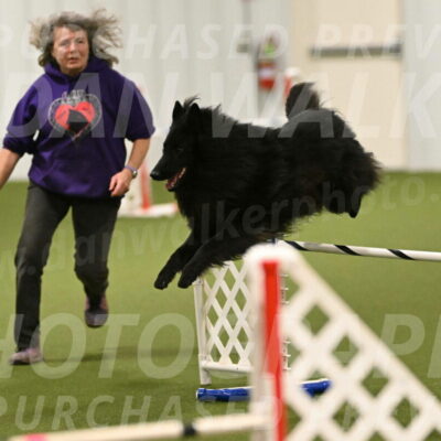 Score-Viola-Dyer-07425