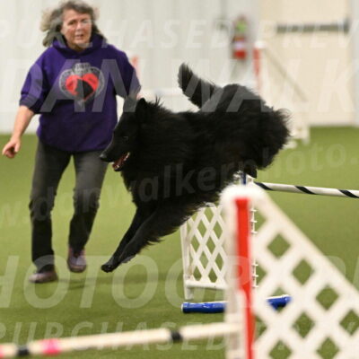 Score-Viola-Dyer-07426