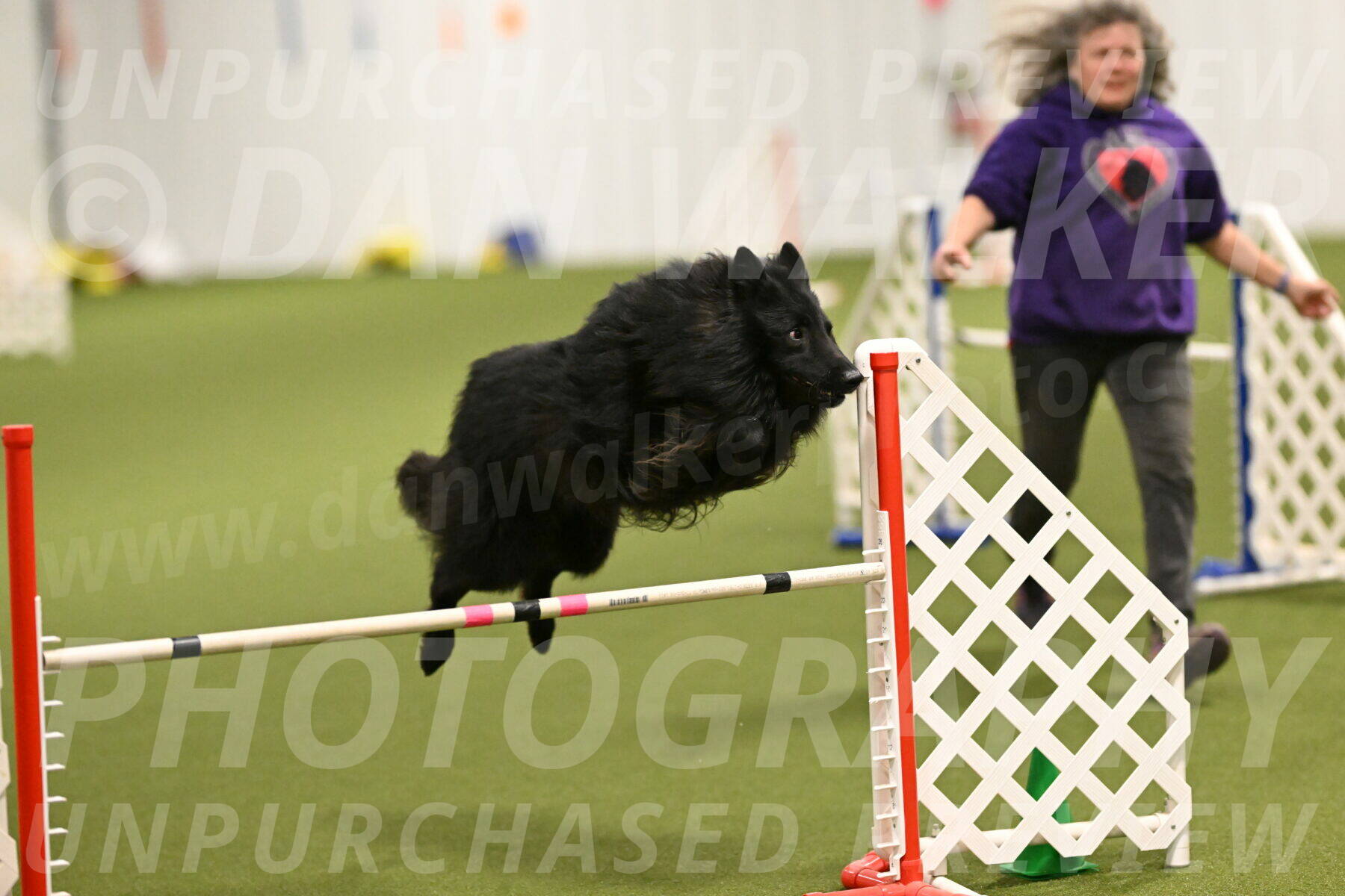 Score-Viola-Dyer-07427