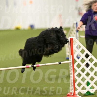 Score-Viola-Dyer-07427