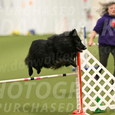 Score-Viola-Dyer-07428