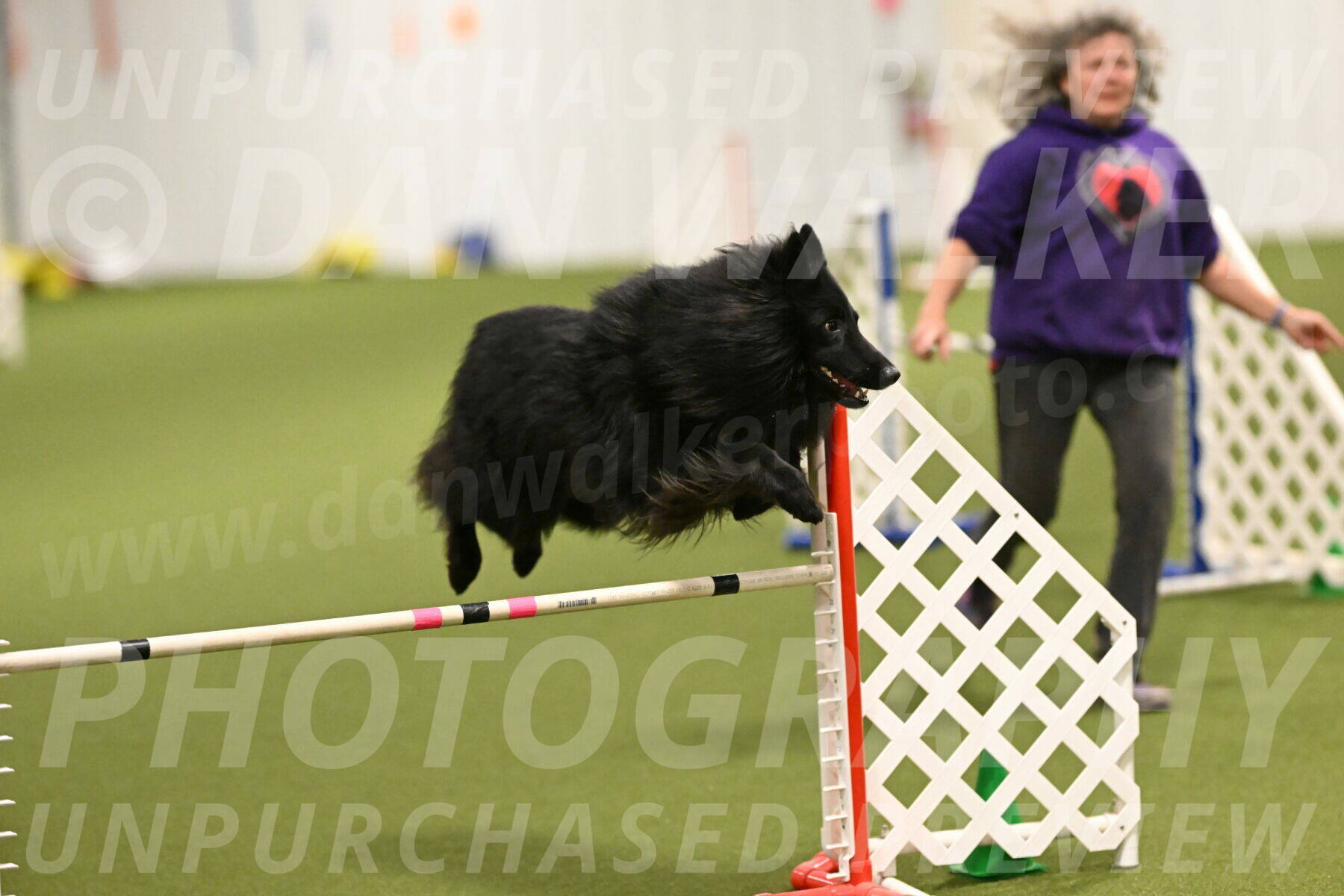 Score-Viola-Dyer-07428