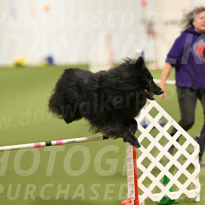 Score-Viola-Dyer-07429