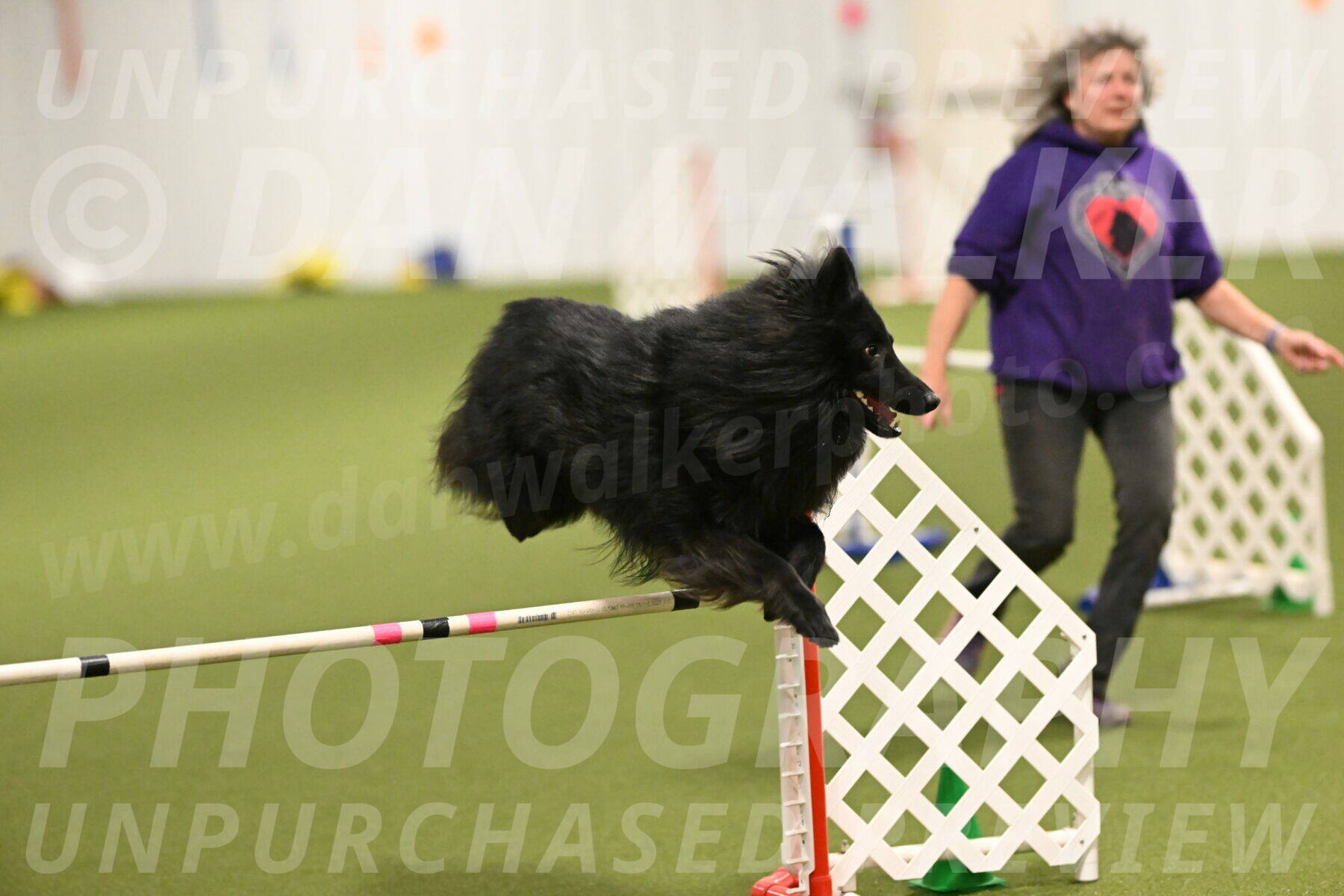 Score-Viola-Dyer-07429