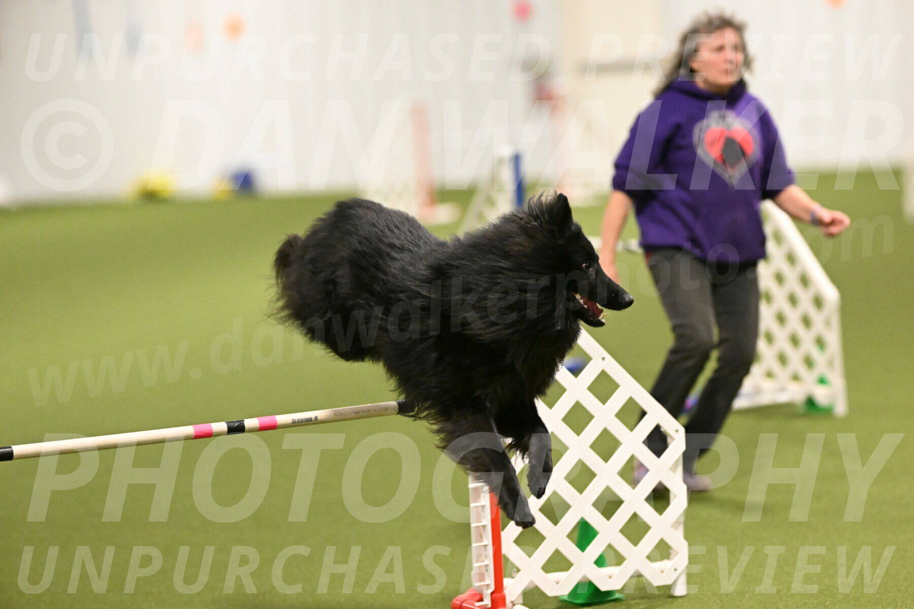 Score-Viola-Dyer-07430