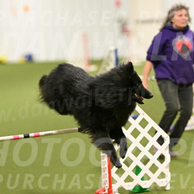 Score-Viola-Dyer-07430