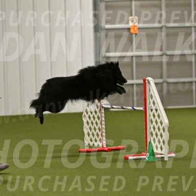 Score-Viola-Dyer-07431