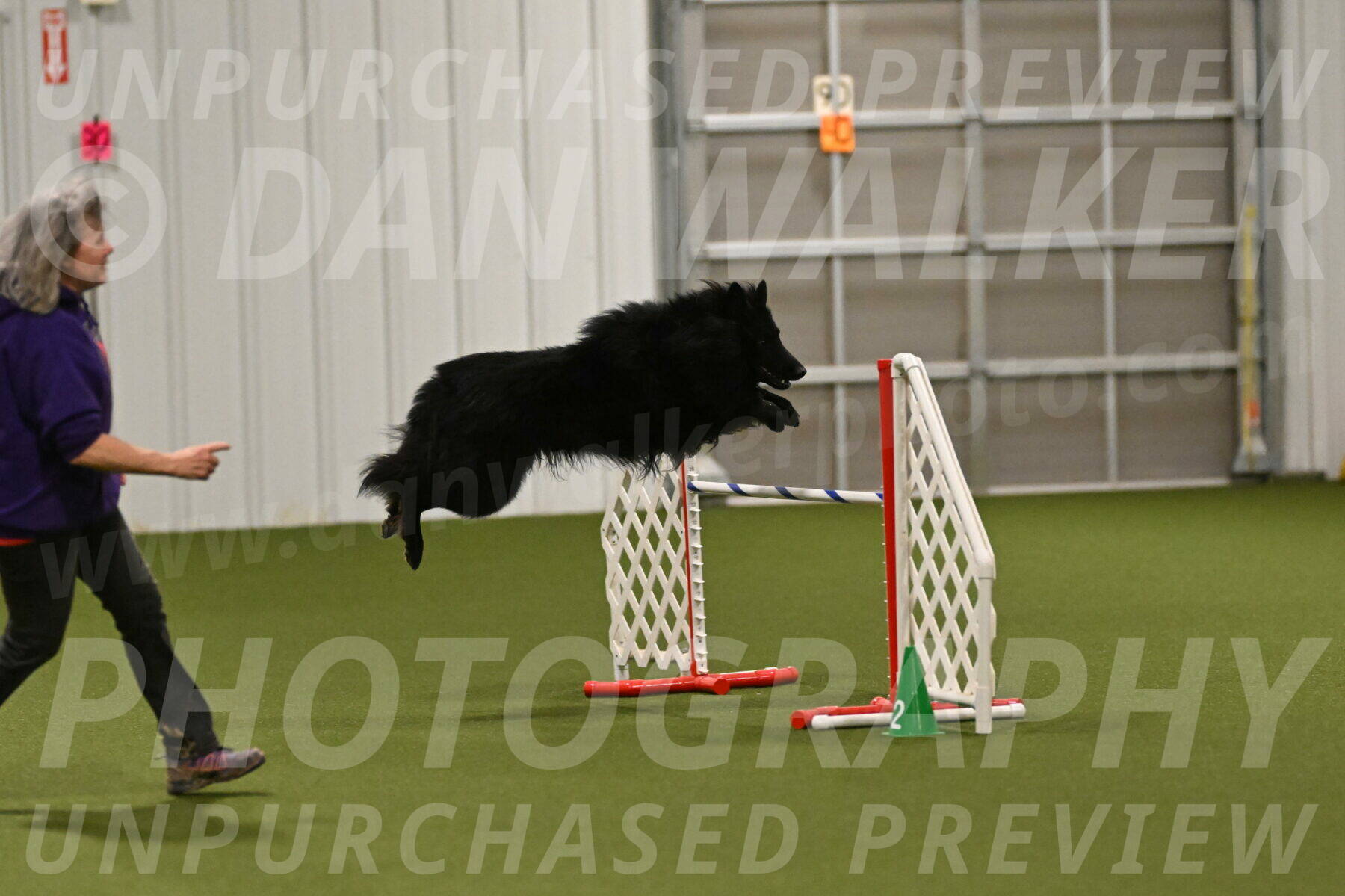 Score-Viola-Dyer-07431