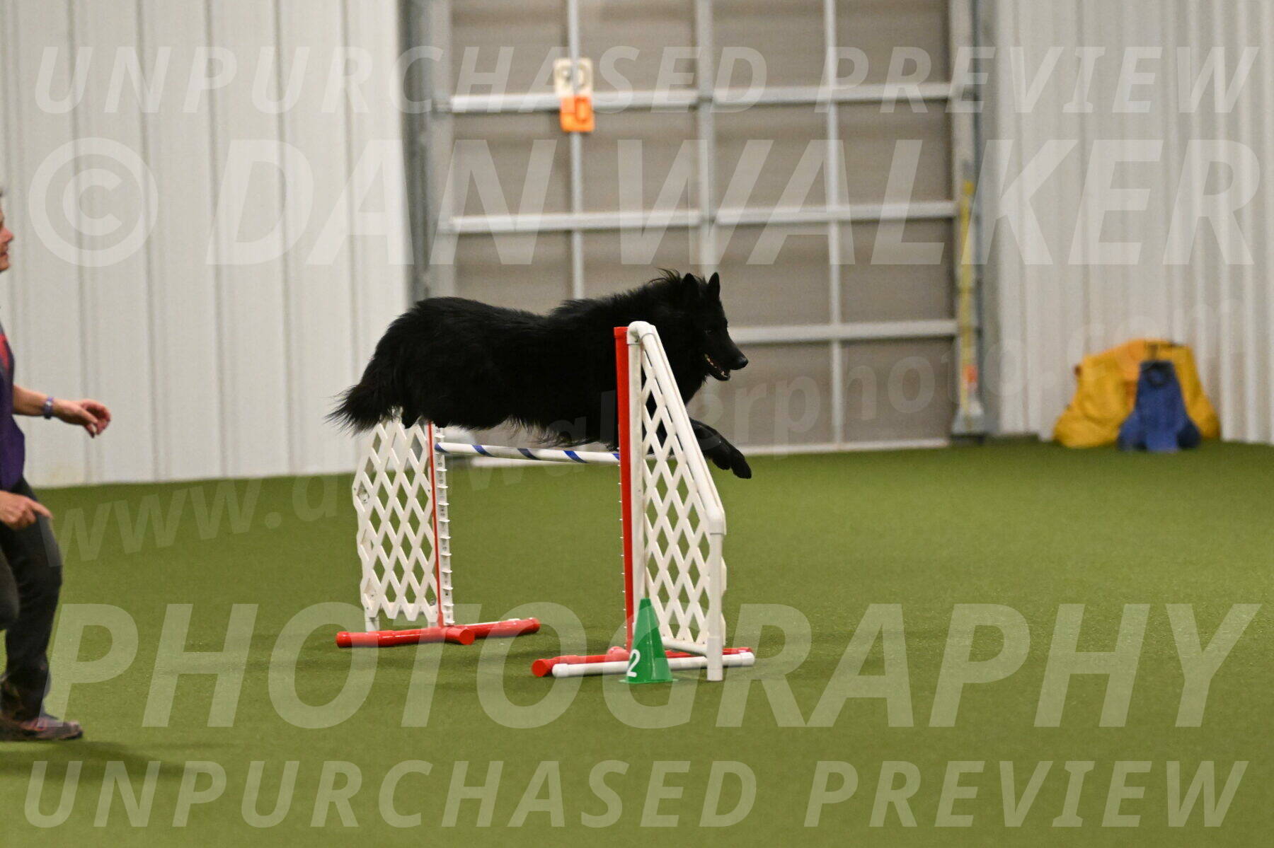 Score-Viola-Dyer-07432