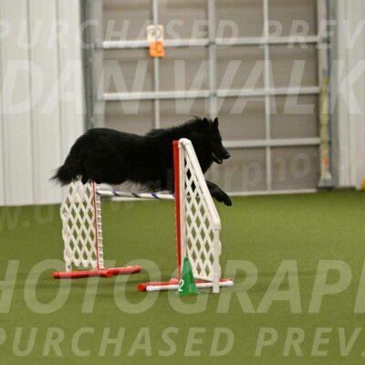 Score-Viola-Dyer-07432