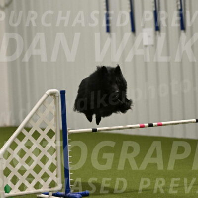 Score-Viola-Dyer-07433