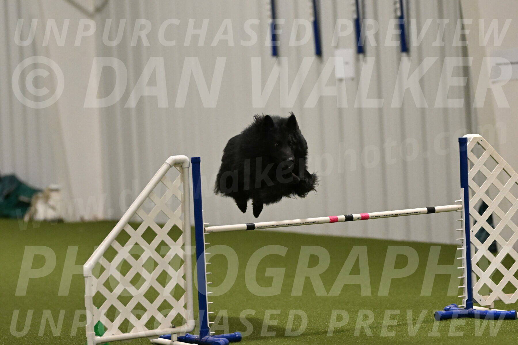 Score-Viola-Dyer-07433