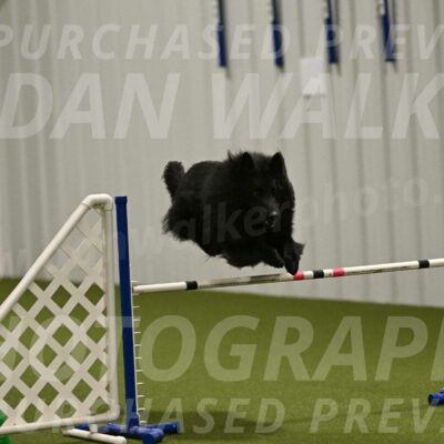 Score-Viola-Dyer-07434