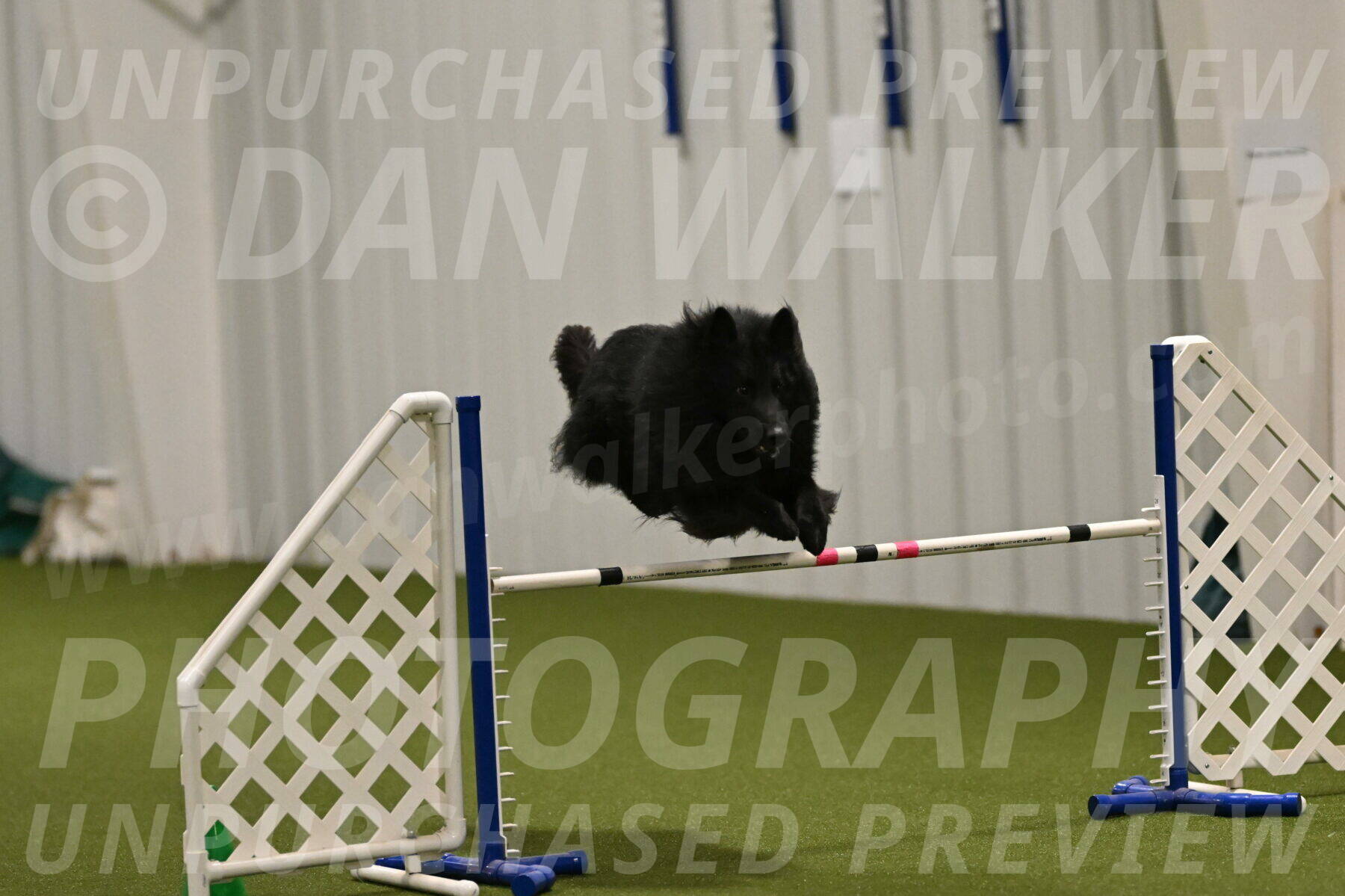 Score-Viola-Dyer-07434