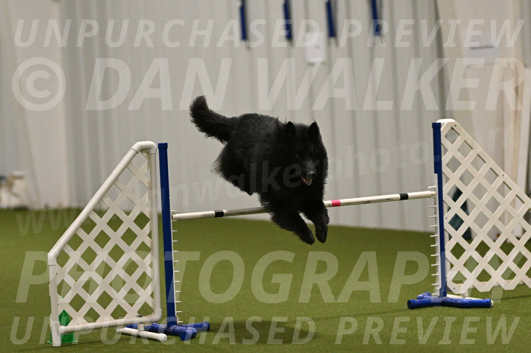 Score-Viola-Dyer-07435