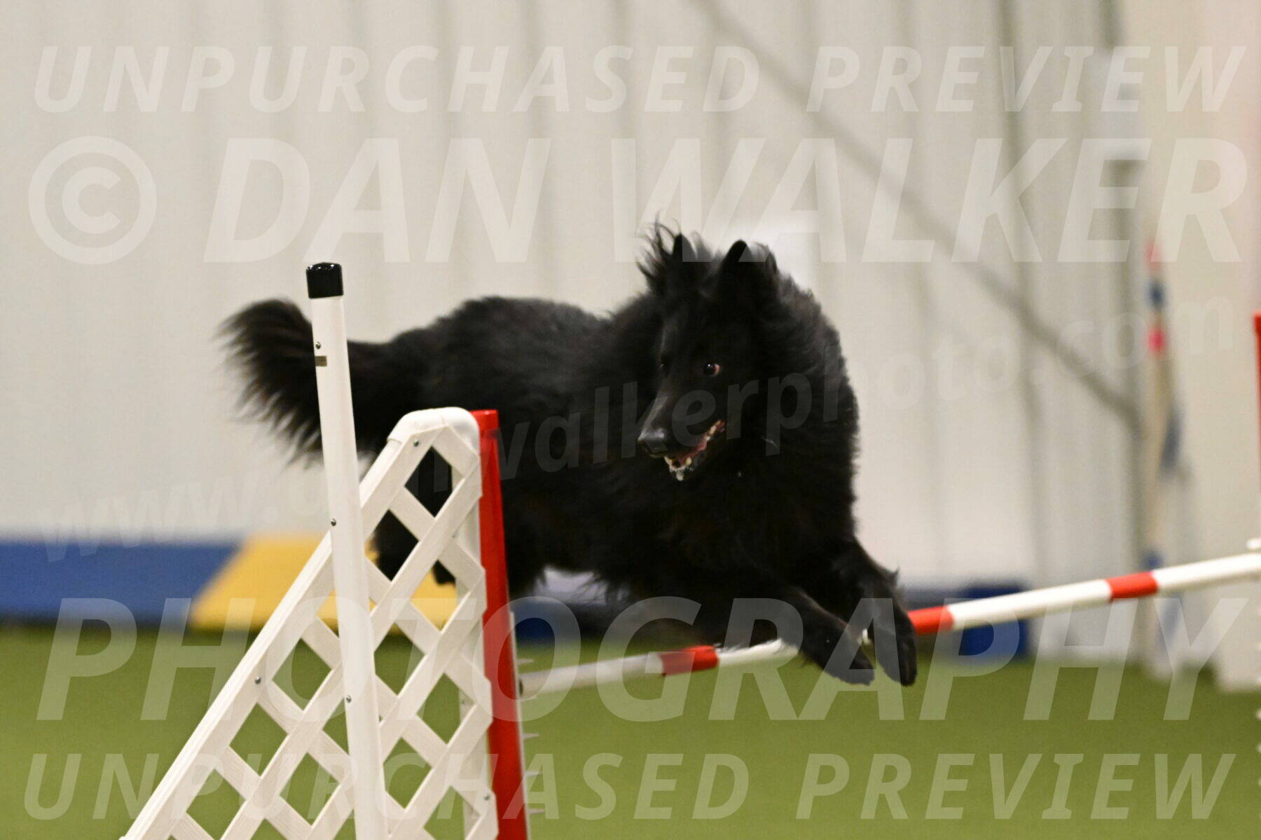 Score-Viola-Dyer-07436