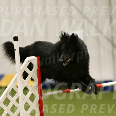 Score-Viola-Dyer-07436