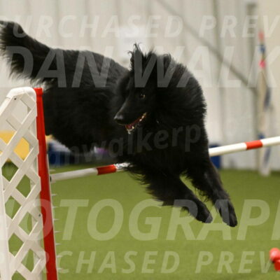 Score-Viola-Dyer-07437