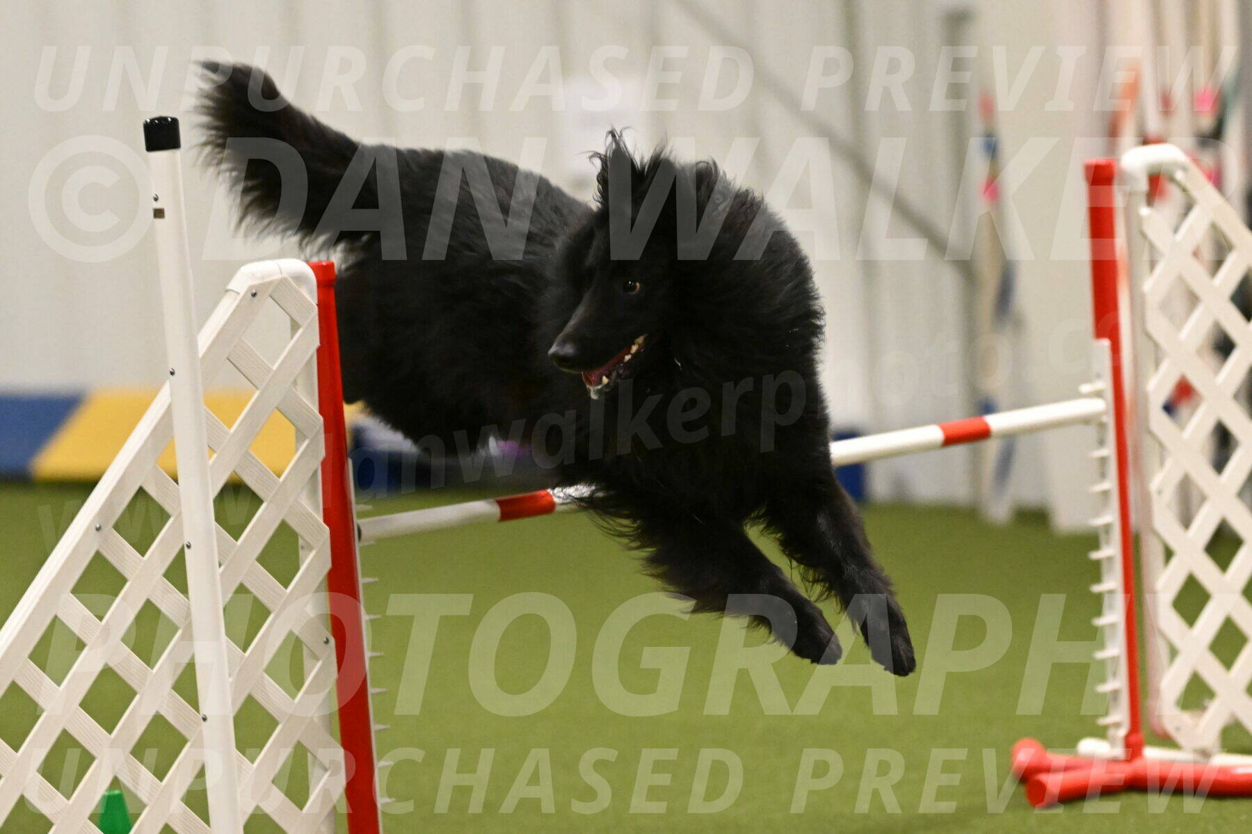 Score-Viola-Dyer-07437