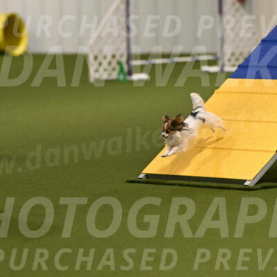 Shandy-Melinda-Sanford-10511