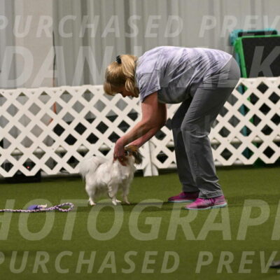 Shandy-Melinda-Sanford-10517
