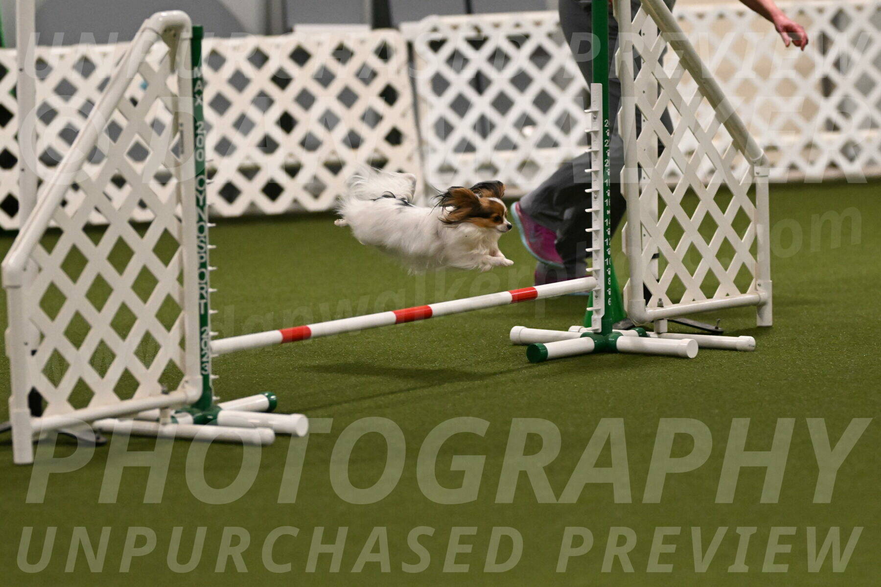 Shandy-Melinda-Sanford-10518