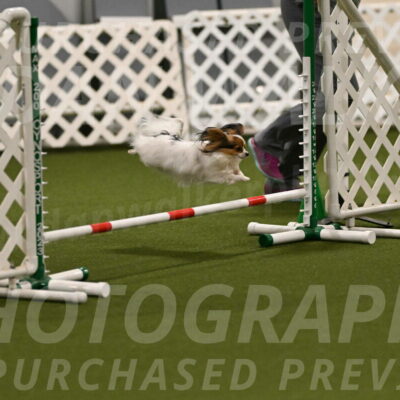 Shandy-Melinda-Sanford-10518