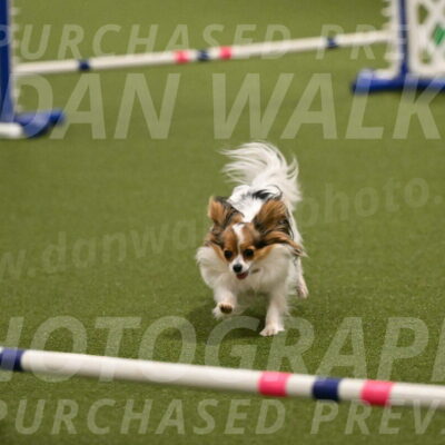 Shandy-Melinda-Sanford-10552
