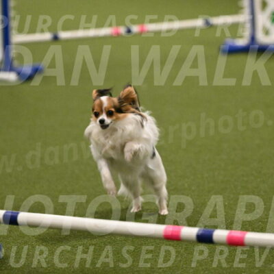 Shandy-Melinda-Sanford-10553