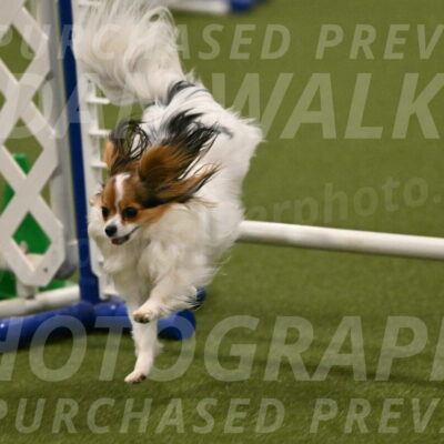 Shandy-Melinda-Sanford-10558