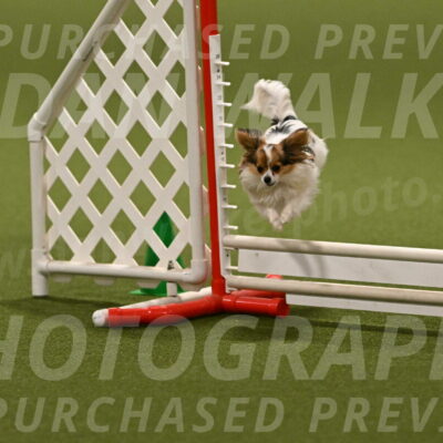 Shandy-Melinda-Sanford-10574