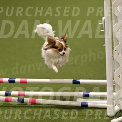 Shandy-Melinda-Sanford-10581