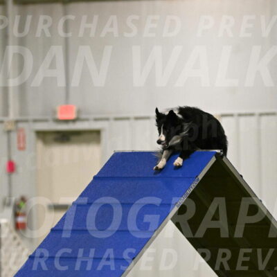 Skyler-Nanette-Jarrett-03806