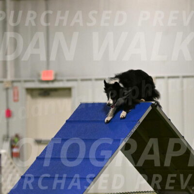 Skyler-Nanette-Jarrett-03807