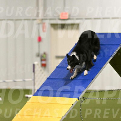 Skyler-Nanette-Jarrett-03808